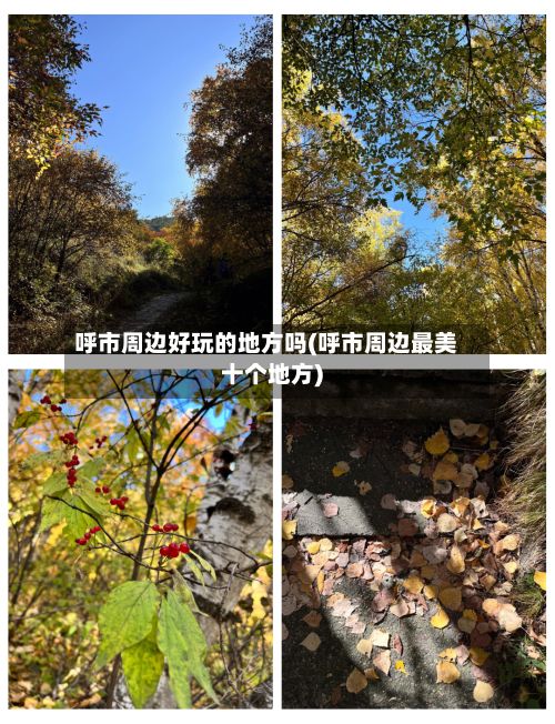 呼市周边好玩的地方吗(呼市周边最美十个地方)