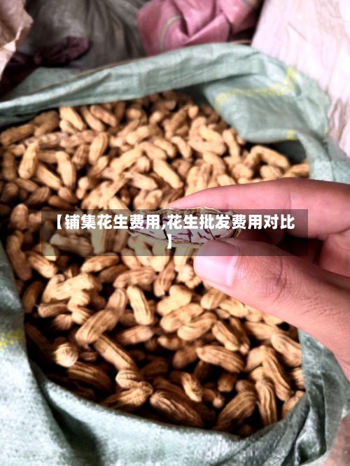 【铺集花生费用,花生批发费用对比】-第2张图片