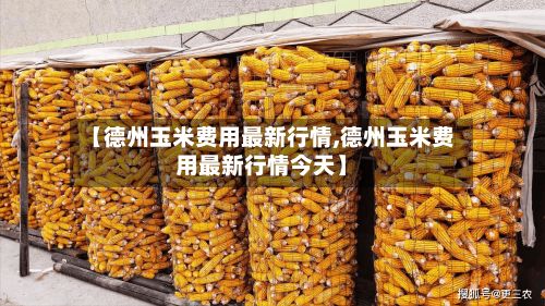 【德州玉米费用最新行情,德州玉米费用最新行情今天】-第2张图片