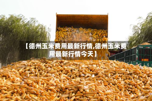 【德州玉米费用最新行情,德州玉米费用最新行情今天】-第3张图片