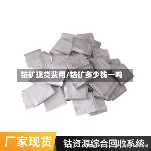 钴矿现货费用/钴矿多少钱一吨-第2张图片