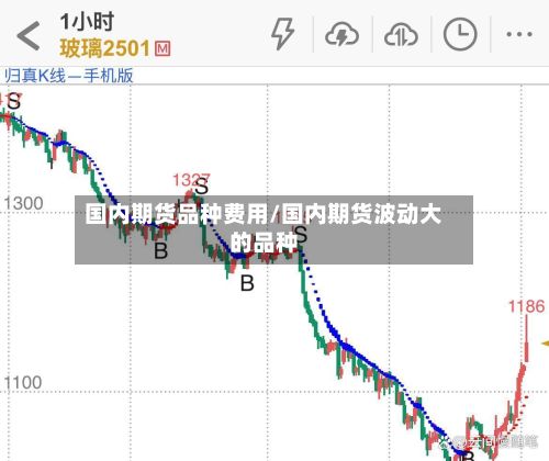 国内期货品种费用/国内期货波动大的品种