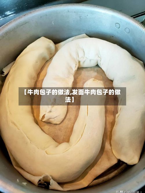 【牛肉包子的做法,发面牛肉包子的做法】-第2张图片