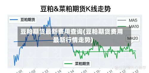 豆粕期货最新费用查询(豆粕期货费用最新行情走势)-第3张图片