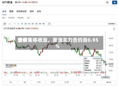 世界油价集体收涨，美油主力合约涨0.95%-第2张图片