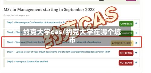 约克大学cas/约克大学在哪个城市-第1张图片