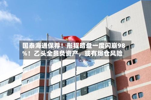 国泰海通保荐！彤程暗盘一度闪崩98%！乙头全员负资产	，或有爆仓风险-第2张图片