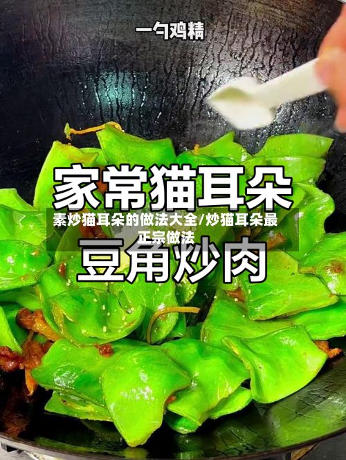 素炒猫耳朵的做法大全/炒猫耳朵最正宗做法