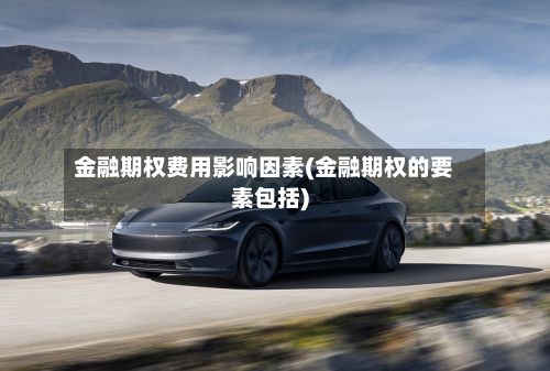 金融期权费用影响因素(金融期权的要素包括)