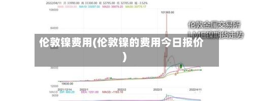 伦敦镍费用(伦敦镍的费用今日报价)