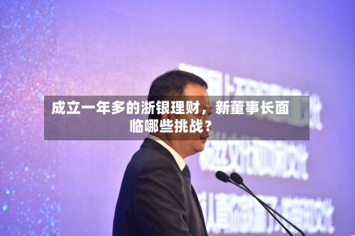 成立一年多的浙银理财，新董事长面临哪些挑战？-第2张图片
