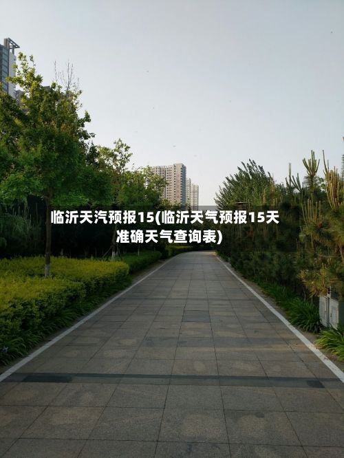 临沂天汽预报15(临沂天气预报15天准确天气查询表)-第3张图片