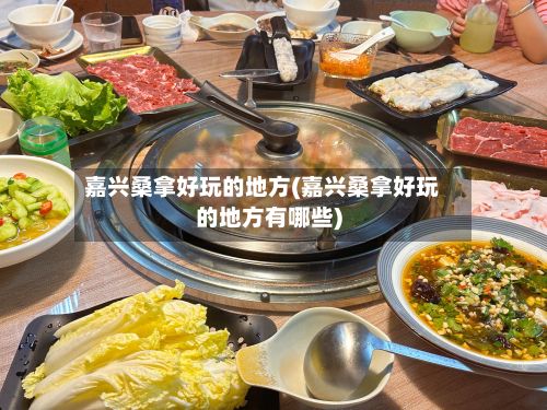 嘉兴桑拿好玩的地方(嘉兴桑拿好玩的地方有哪些)