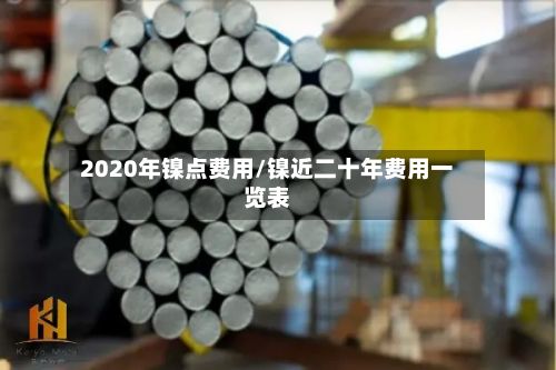 2020年镍点费用/镍近二十年费用一览表-第2张图片