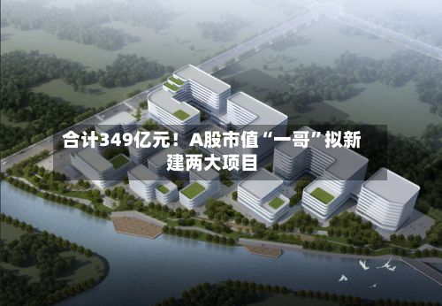 合计349亿元！A股市值“一哥	”拟新建两大项目-第2张图片