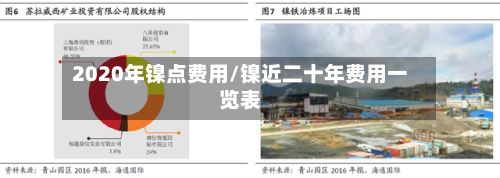2020年镍点费用/镍近二十年费用一览表