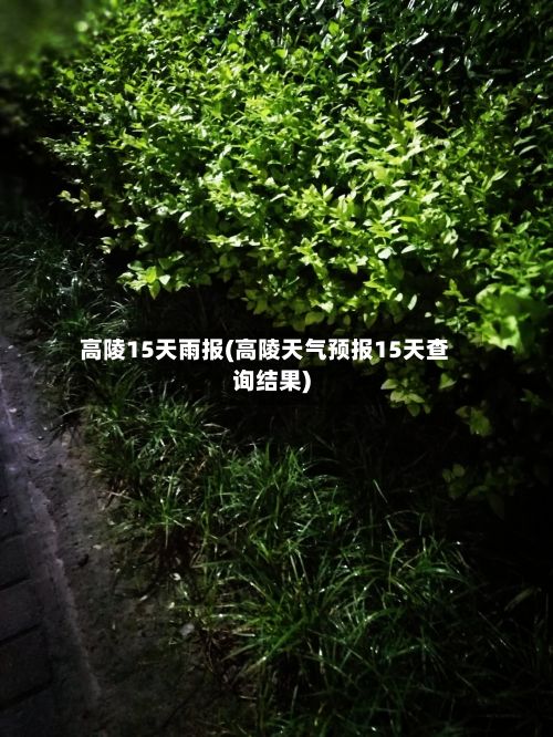 高陵15天雨报(高陵天气预报15天查询结果)-第2张图片