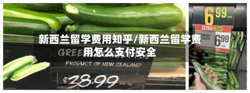 新西兰留学费用知乎/新西兰留学费用怎么支付安全
