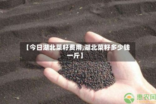 【今日湖北菜籽费用,湖北菜籽多少钱一斤】-第3张图片
