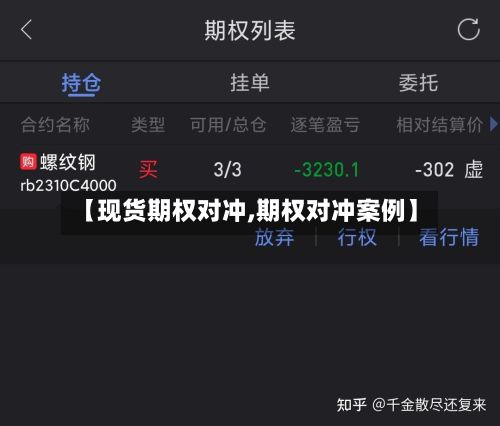 【现货期权对冲,期权对冲案例】-第2张图片