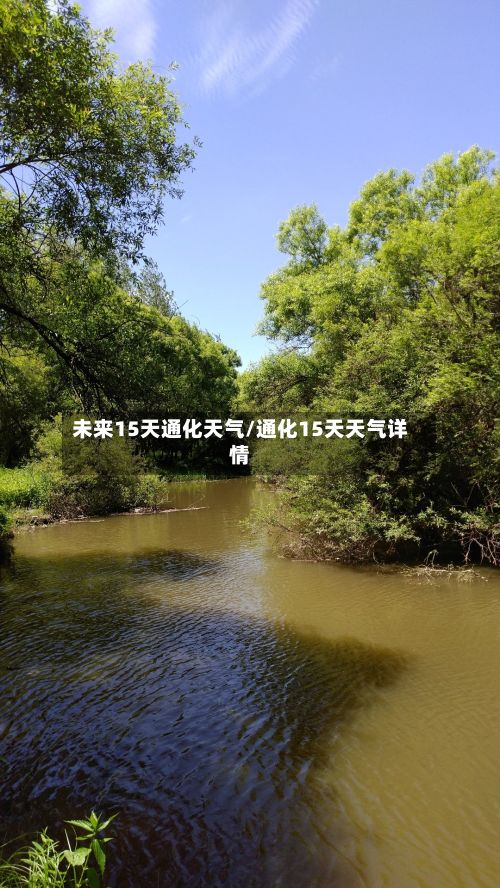 未来15天通化天气/通化15天天气详情