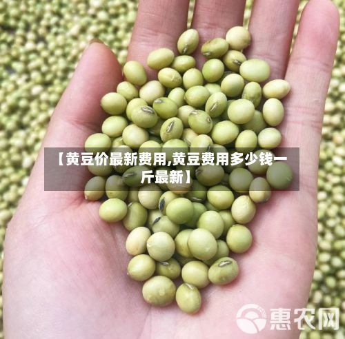 【黄豆价最新费用,黄豆费用多少钱一斤最新】-第1张图片