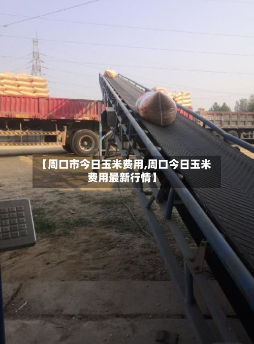 【周口市今日玉米费用,周口今日玉米费用最新行情】
