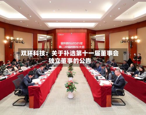 双环科技：关于补选第十一届董事会独立董事的公告