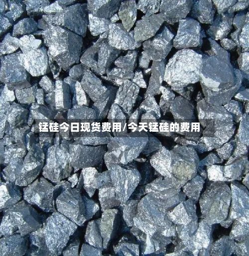 锰硅今日现货费用/今天锰硅的费用