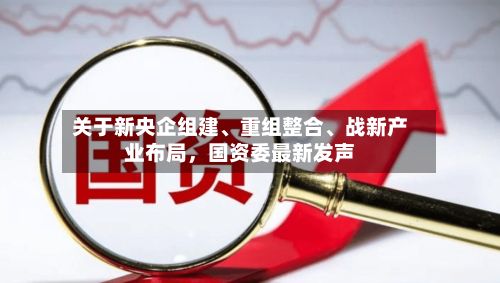 关于新央企组建	、重组整合、战新产业布局，国资委最新发声-第3张图片
