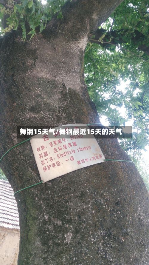 舞钢15天气/舞钢最近15天的天气-第2张图片
