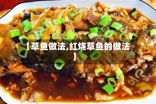 【草鱼做法,红烧草鱼的做法】-第2张图片