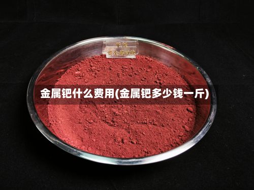 金属钯什么费用(金属钯多少钱一斤)