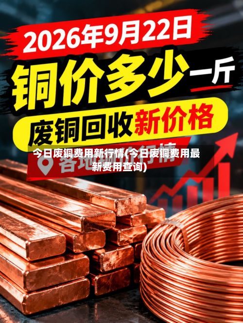 今日废铜费用新行情(今日废铜费用最新费用查询)-第2张图片