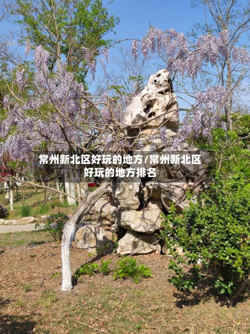 常州新北区好玩的地方/常州新北区好玩的地方排名-第2张图片