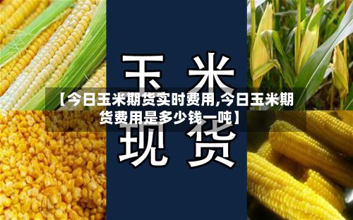 【今日玉米期货实时费用,今日玉米期货费用是多少钱一吨】-第3张图片