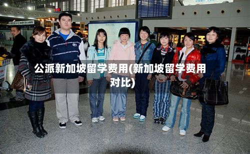 公派新加坡留学费用(新加坡留学费用对比)