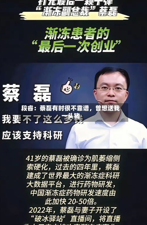 段睿：蔡磊有时很不靠谱，曾想送我一头猪-第2张图片