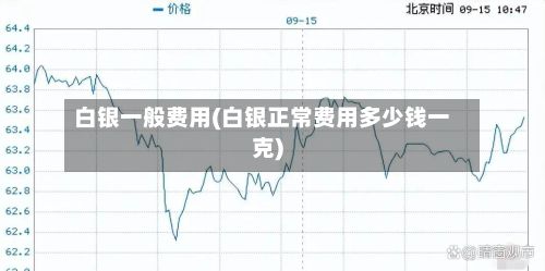 白银一般费用(白银正常费用多少钱一克)