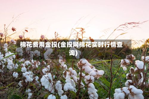 棉花费用金投(金投网棉花实时行情查询)