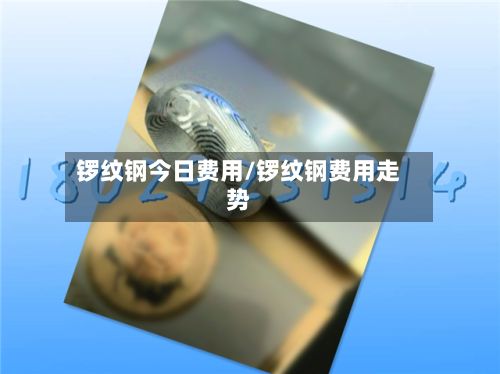 锣纹钢今日费用/锣纹钢费用走势-第3张图片