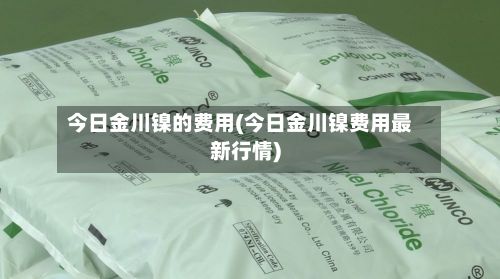 今日金川镍的费用(今日金川镍费用最新行情)-第2张图片