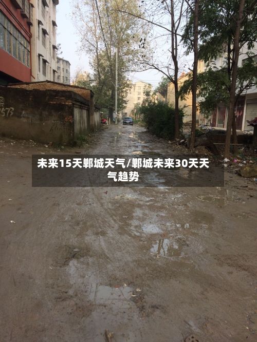 未来15天郸城天气/郸城未来30天天气趋势-第3张图片