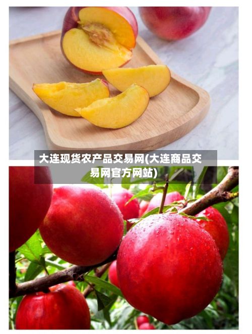 大连现货农产品交易网(大连商品交易网官方网站)-第3张图片