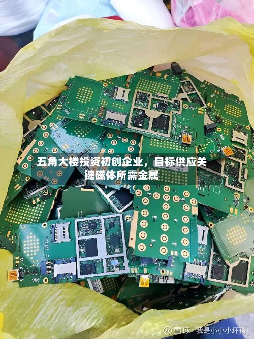 五角大楼投资初创企业，目标供应关键磁体所需金属-第3张图片
