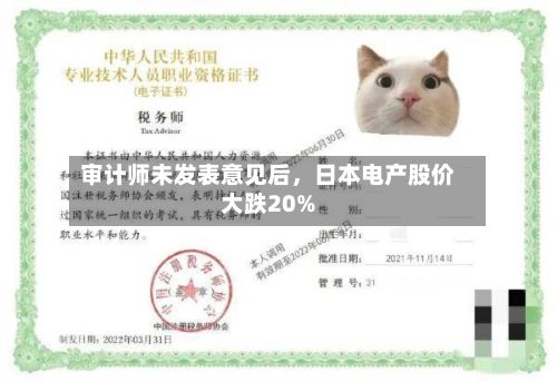 审计师未发表意见后，日本电产股价大跌20%