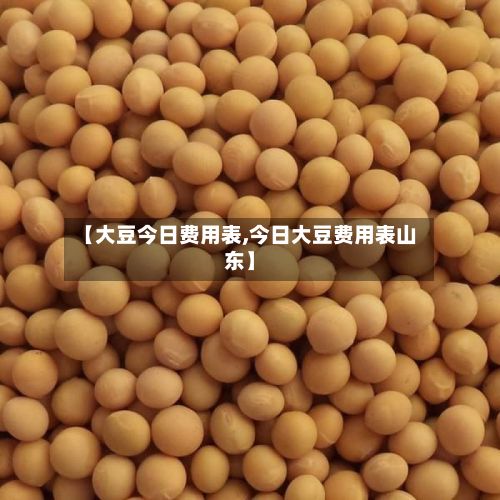 【大豆今日费用表,今日大豆费用表山东】