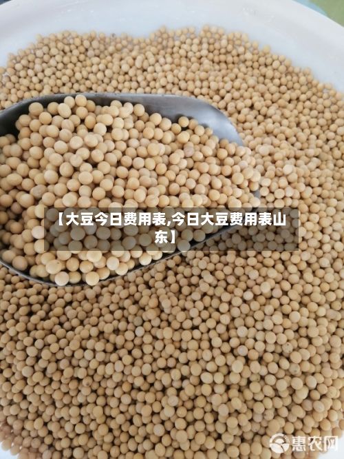 【大豆今日费用表,今日大豆费用表山东】-第2张图片