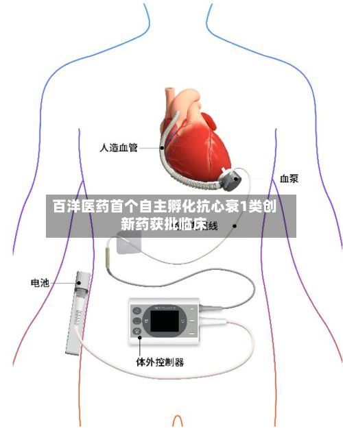 百洋医药首个自主孵化抗心衰1类创新药获批临床-第1张图片