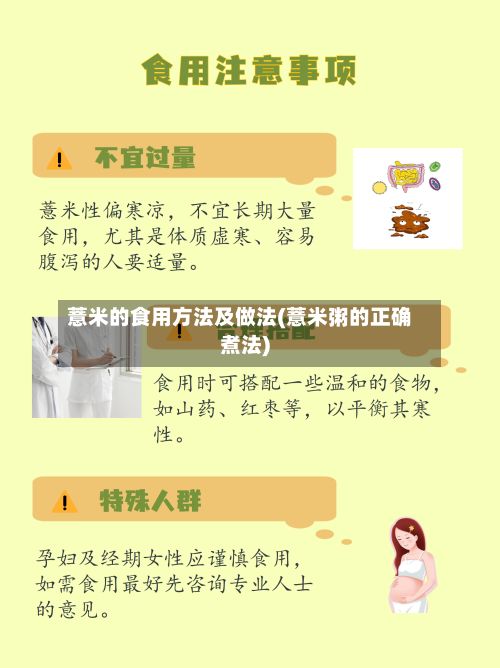 薏米的食用方法及做法(薏米粥的正确煮法)